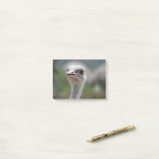 Ostrich Bird Post-it® Notes (Op bureau)