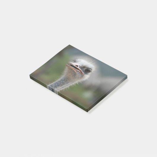 Ostrich Bird Post-it® Notes (Schuin)