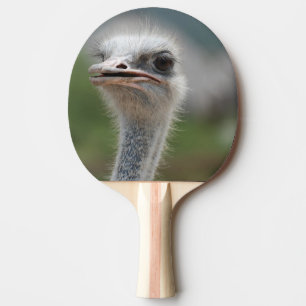 Ostrich Bird Tafeltennisbatje