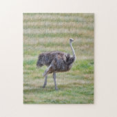 Ostrich Bird Walking in a Meadow Art Puzzle (Vertical)