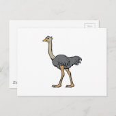 Ostrich Briefkaart (Voorkant / Achterkant)
