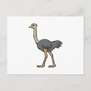 Ostrich Briefkaart
