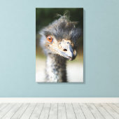 Ostrich Canvas Afdruk (Insitu (Houten vloer))