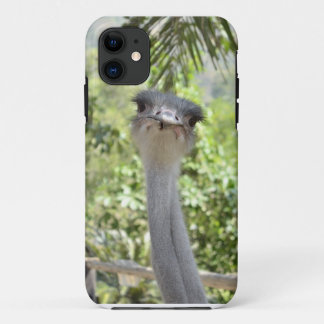 Ostrich iPhone 11 Hoesje