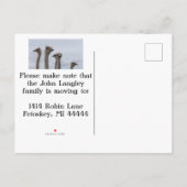 OSTRICH CONFUSION RELOIGNEMENT CARTE POSTALE (Dos)