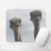 Ostrich Couple Mousepad Muismat (Met muis)
