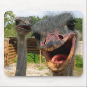 Ostrich Couple Mousepad Muismat (Voorkant)