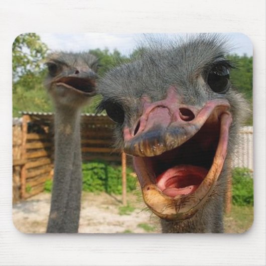 Ostrich Couple Mousepad Muismat (Voorkant)