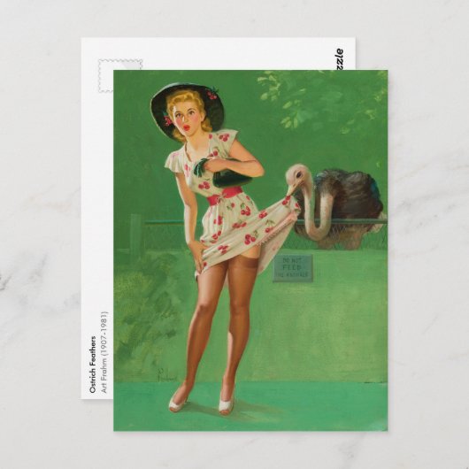 Ostrich Feathers Briefkaart (Voorkant / Achterkant)