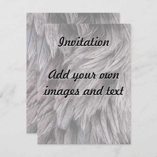 Ostrich Feathers Kaart (Voorkant / Achterkant)