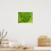 Ostrich Ferns with Fiddleheads Poster (Cuisine)