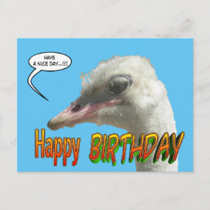 Ostrich Happy Birthday  Briefkaart