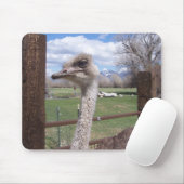 Ostrich Head Muismat (Met muis)