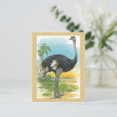 Ostrich in Afrika Briefkaart (Staand voorkant)