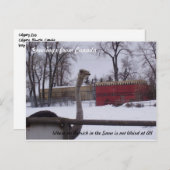 Ostrich in de sneeuw briefkaart (Voorkant / Achterkant)