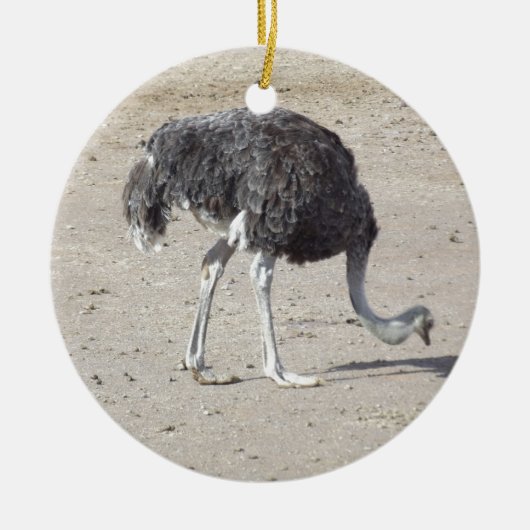 Ostrich Keramisch Ornament (Voorkant)
