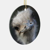 Ostrich Keramisch Ornament (Rechts)