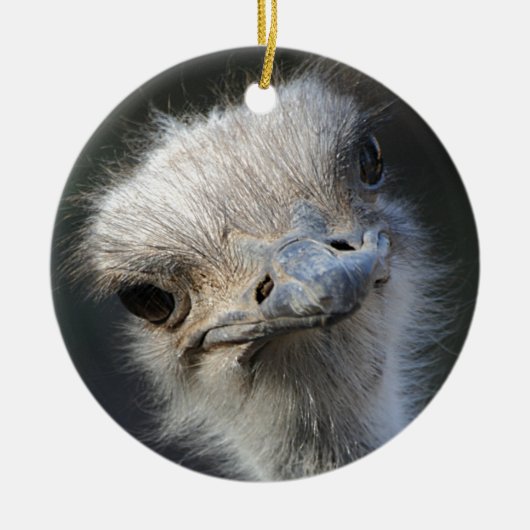 Ostrich Keramisch Ornament (Voorkant)