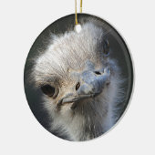 Ostrich Keramisch Ornament (Links)