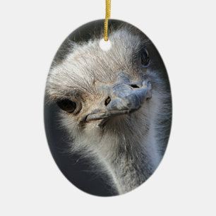 Ostrich Keramisch Ornament