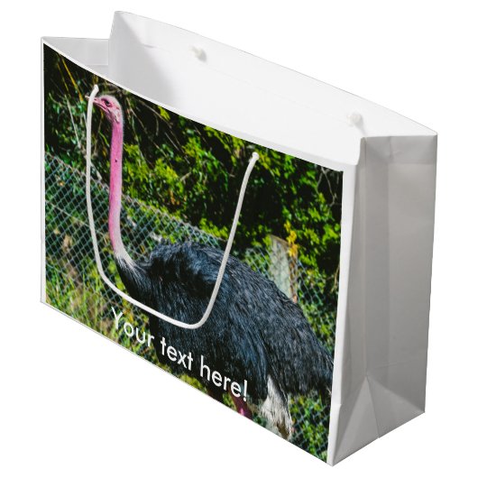 Ostrich Large Cadeautasje (Voorkant Gekanteld)