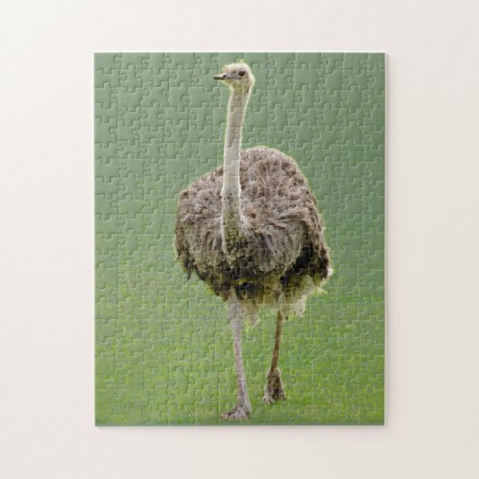 Ostrich Legpuzzel (Verticaal)
