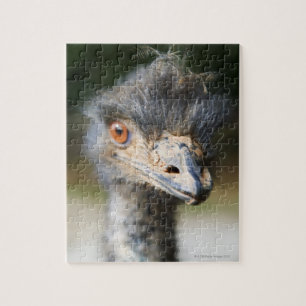 Ostrich Legpuzzel