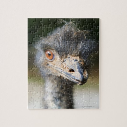 Ostrich Legpuzzel (Verticaal)