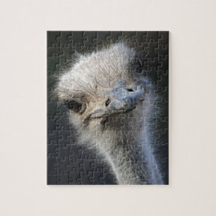 Ostrich Legpuzzel