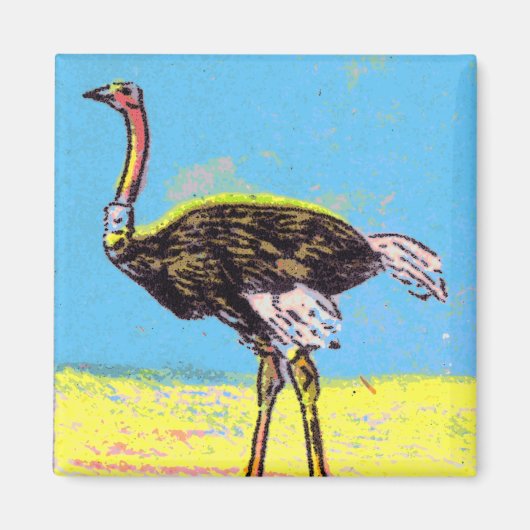 Ostrich Magneet (Voorkant)