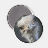 Ostrich Magneet (Voorkant / Achterkant)