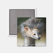 Ostrich Magneet (Voorkant / Achterkant)