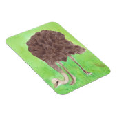 Ostrich Manger, Aquarelle Peinture Magnets (Côté Droit)
