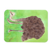 Ostrich Manger, Aquarelle Peinture Magnets (Horizontal)