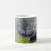 Ostrich Mug (Centre)