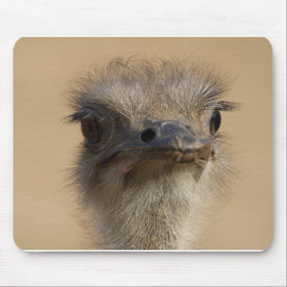 Ostrich Muismat