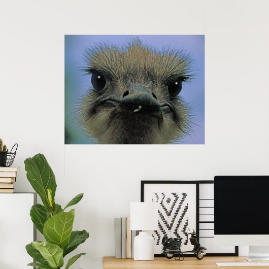 Ostrich of Emu met "problemen"! Poster (Thuiskantoor)