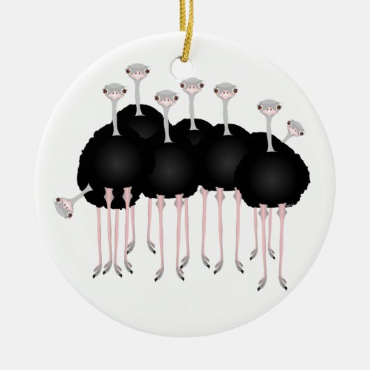 Ostrich Ornament (Voorkant)