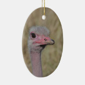 Ostrich Ornament (Rechts)