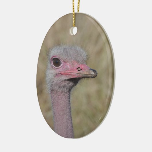 Ostrich Ornament (Links)