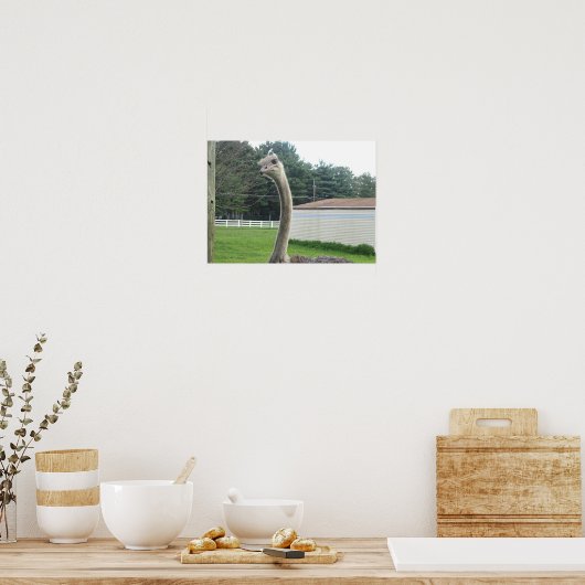 Ostrich Poster (Keuken)
