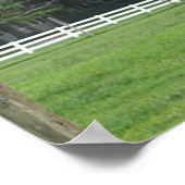 Ostrich Poster (Hoek)