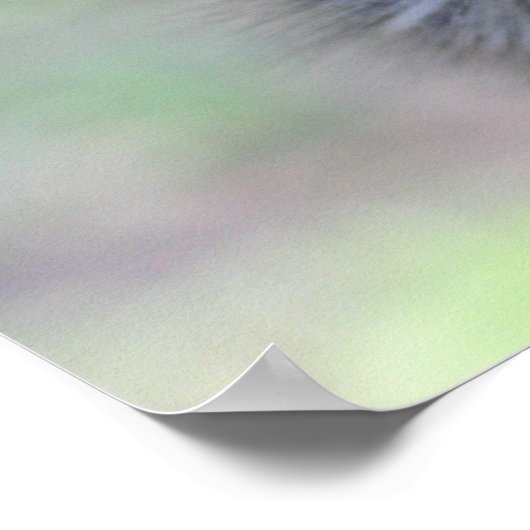 Ostrich Poster (Hoek)