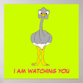 Ostrich Poster (Devant)
