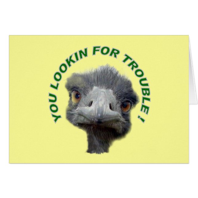 Ostrich-probleem (Voorkant Horizontaal)