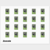 Ostrich Ronde Sticker (Vel)