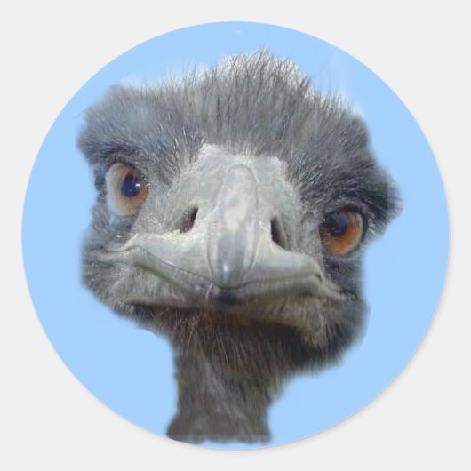 Ostrich Ronde Sticker (Voorkant)