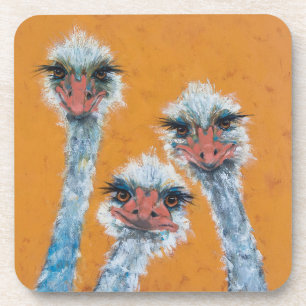 Ostrich soeurs Dessous de verre en plastique dur