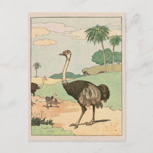Ostrich Storybook Tekening Briefkaart