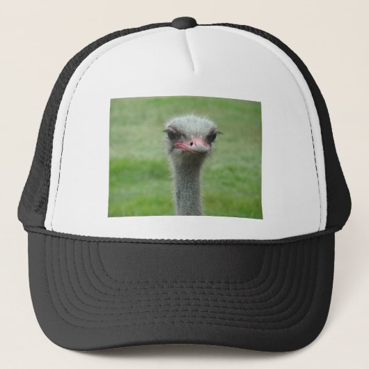 Ostrich Trucker Pet (Voorkant)